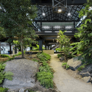 Crye Precision Turns Brooklyn Navy Yard Warehouse into Gorgeous New HQ
